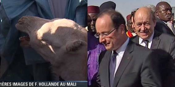 Francois-Hollande-au-Mali-le-chameau-me-permettra-de-traverser-d-autres-epreuves